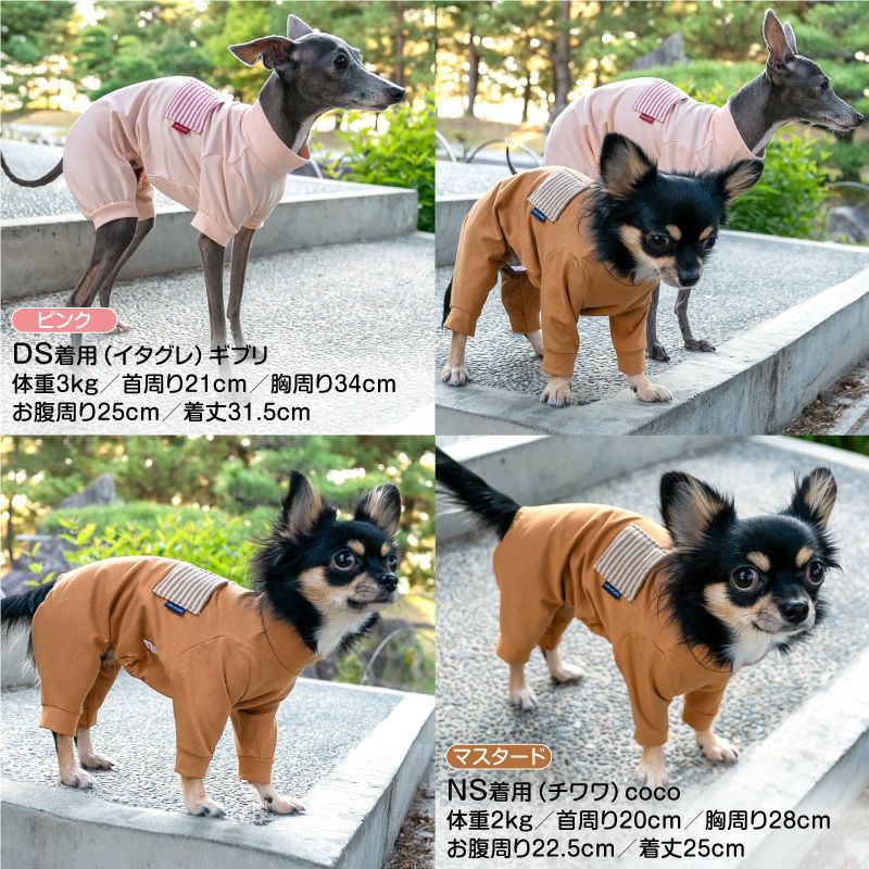 ボーダーポケットベア天長袖お部屋着(ダックス・小型犬用)