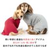 ロゴポイントぬくぬくお部屋着(ダックス・小型犬用)