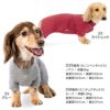 ロゴポイントぬくぬくお部屋着(ダックス・小型犬用)
