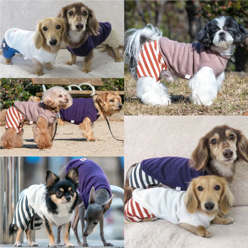 スパンニット起毛ベスト(ダックス・小型犬用)