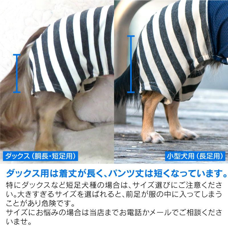 メッシュインナー付ストレッチ裏毛ボーダーパンツ(ダックス・小型犬用)