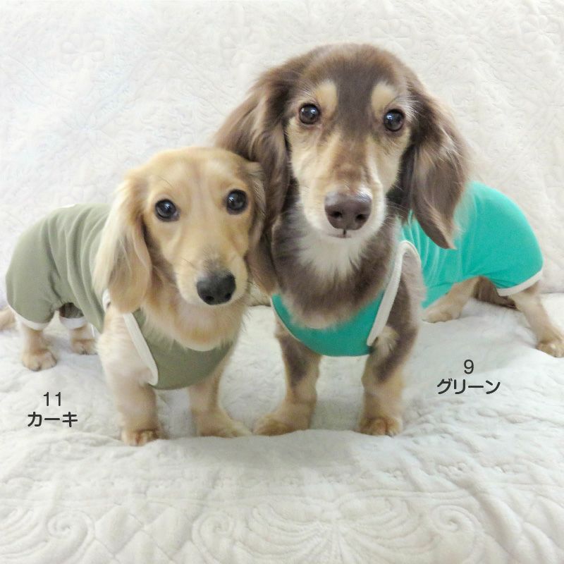 スーパー ミニ裏毛 デイリー つなぎ ダックス 小型犬用 | ダックス、猫