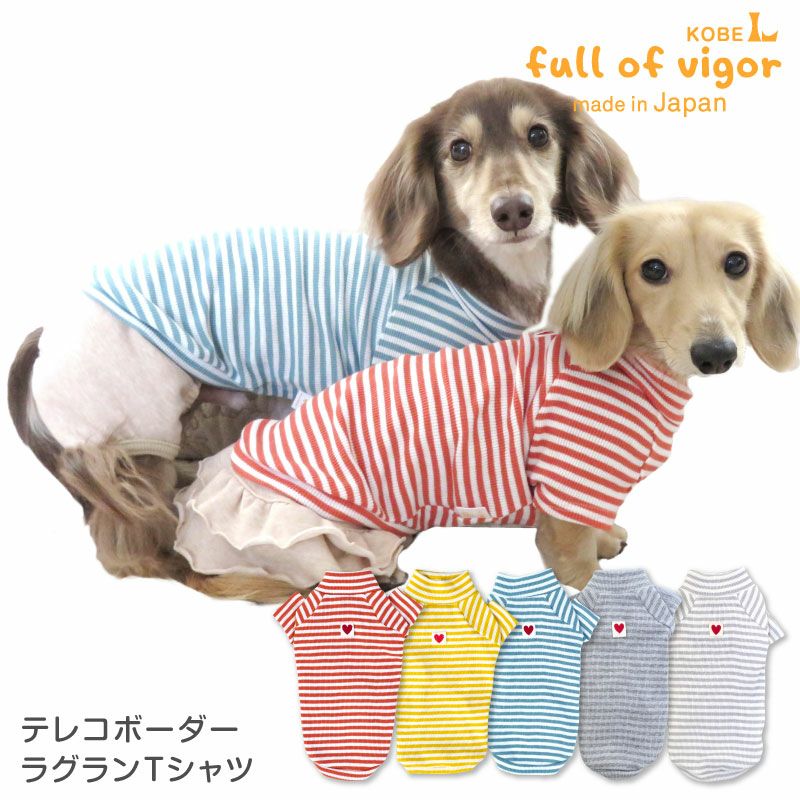 テレコボーダーラグランTシャツ(ダックス・小型犬用)