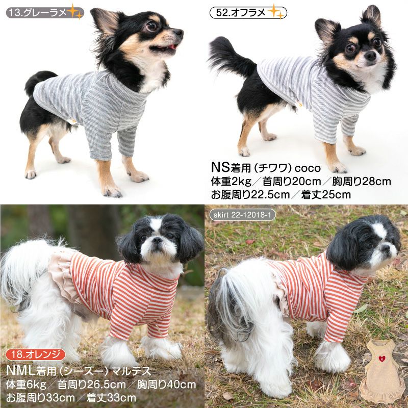 テレコボーダーラグランTシャツ(ダックス・小型犬用)