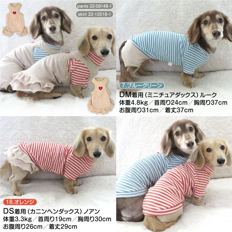テレコボーダーラグランTシャツ(ダックス・小型犬用)
