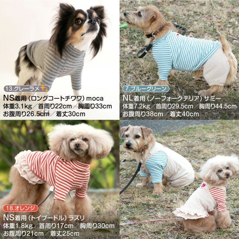 テレコボーダーラグランTシャツ(ダックス・小型犬用)