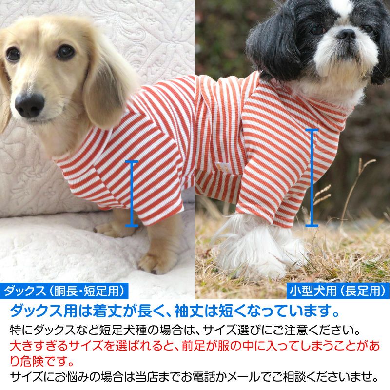 テレコボーダーラグランTシャツ(ダックス・小型犬用)
