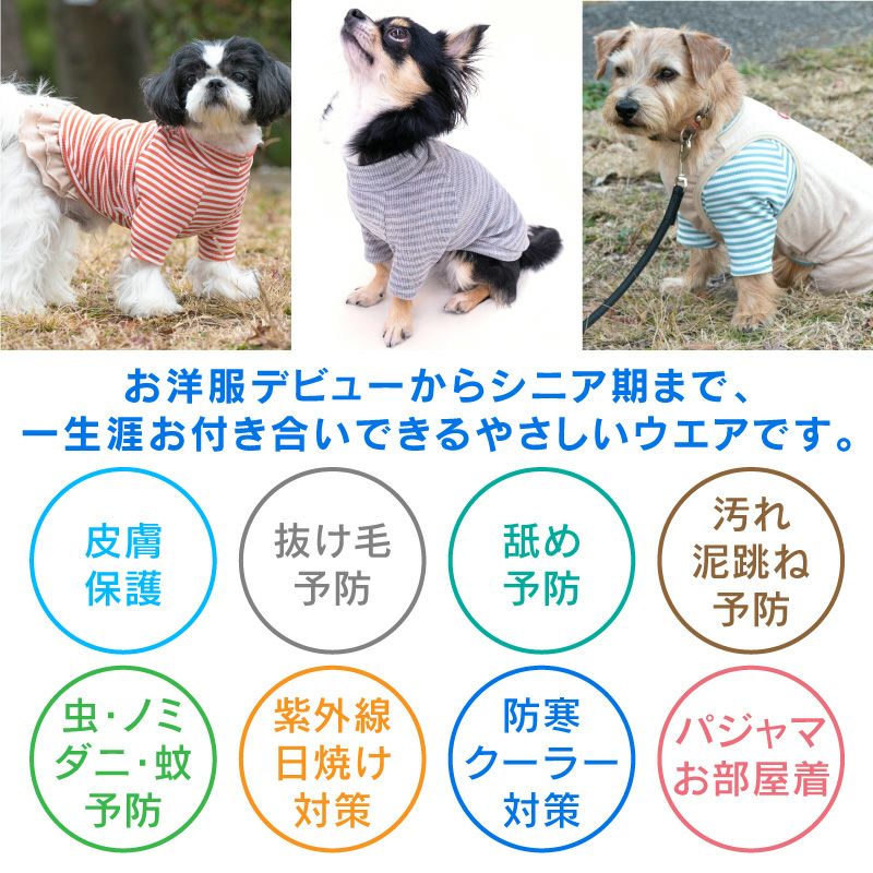 テレコボーダーラグランTシャツ(ダックス・小型犬用)