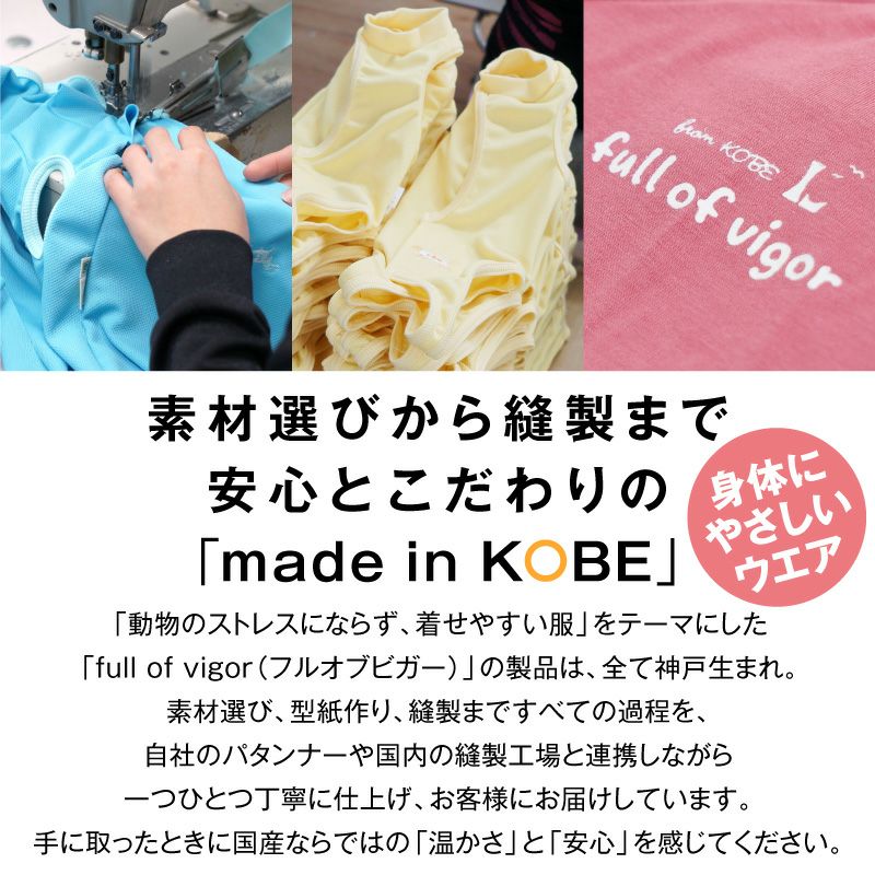 テレコボーダーラグランTシャツ(ダックス・小型犬用)