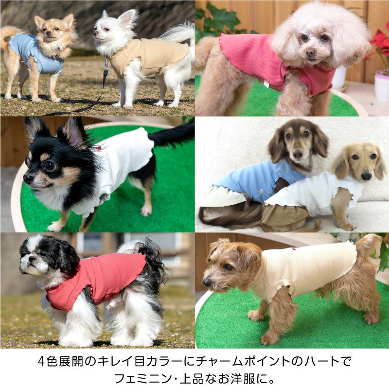 テレコフリルタンク(ダックス・小型犬用)