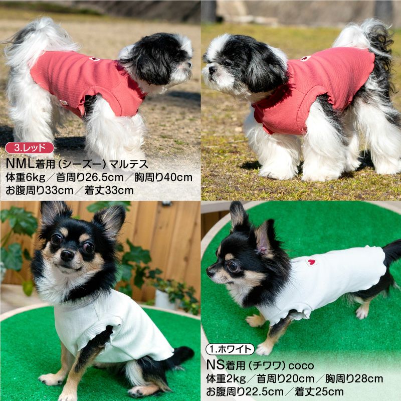テレコフリルタンク(ダックス・小型犬用)