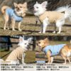 テレコフリルタンク(ダックス・小型犬用)