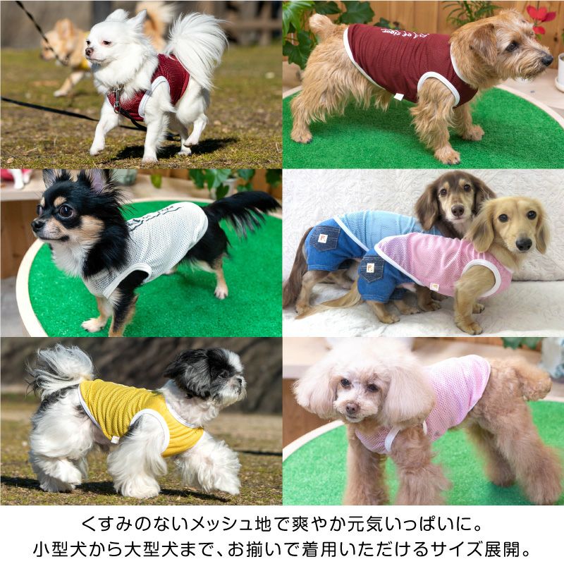 ロゴプリントメッシュタンク(ダックス・小型犬用)