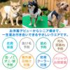 グラン防蚊切り替えタンク(ダックス・小型犬用)