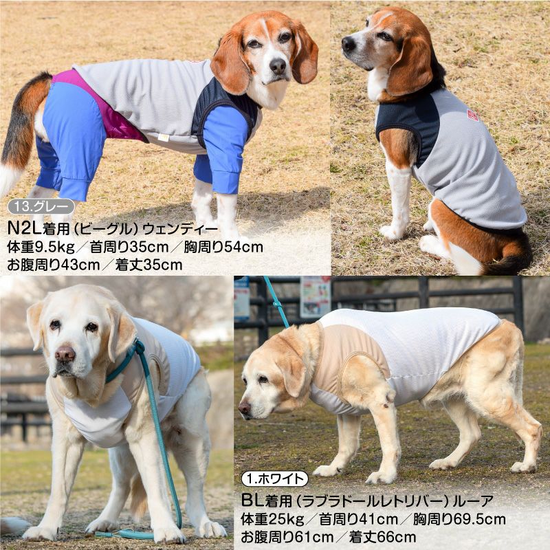 ラグラン防蚊切り替えタンク(大型犬用)