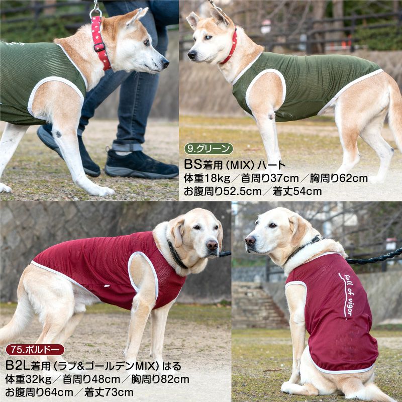 商品画像5