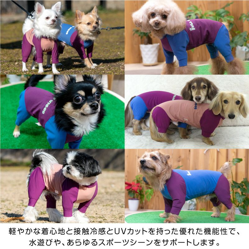 ドッグプレイ(R)接触冷感ラッシュガード(ダックス・小型犬用)