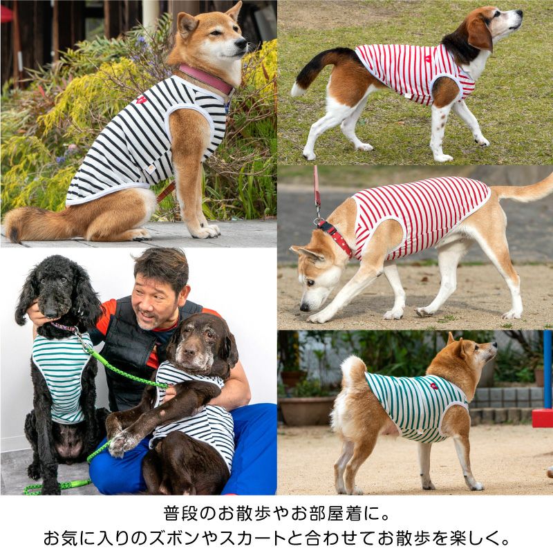 ハート刺しゅうボーダータンク(大型犬用)