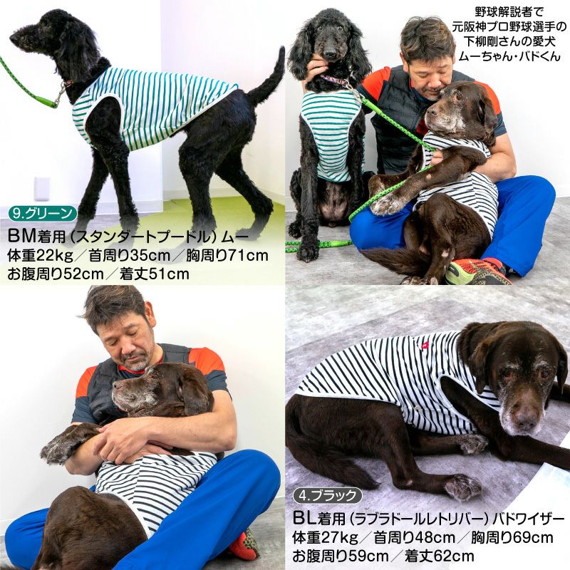 ハート刺しゅうボーダータンク(中型犬用)