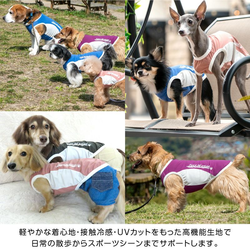 ドッグプレイ(R)ひんやり接触冷感タンク(ダックス・小型犬用)