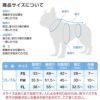 F.ベア天竺術後服エリザベスウエア(R)(女の子/フレブル用/伸縮性素材)