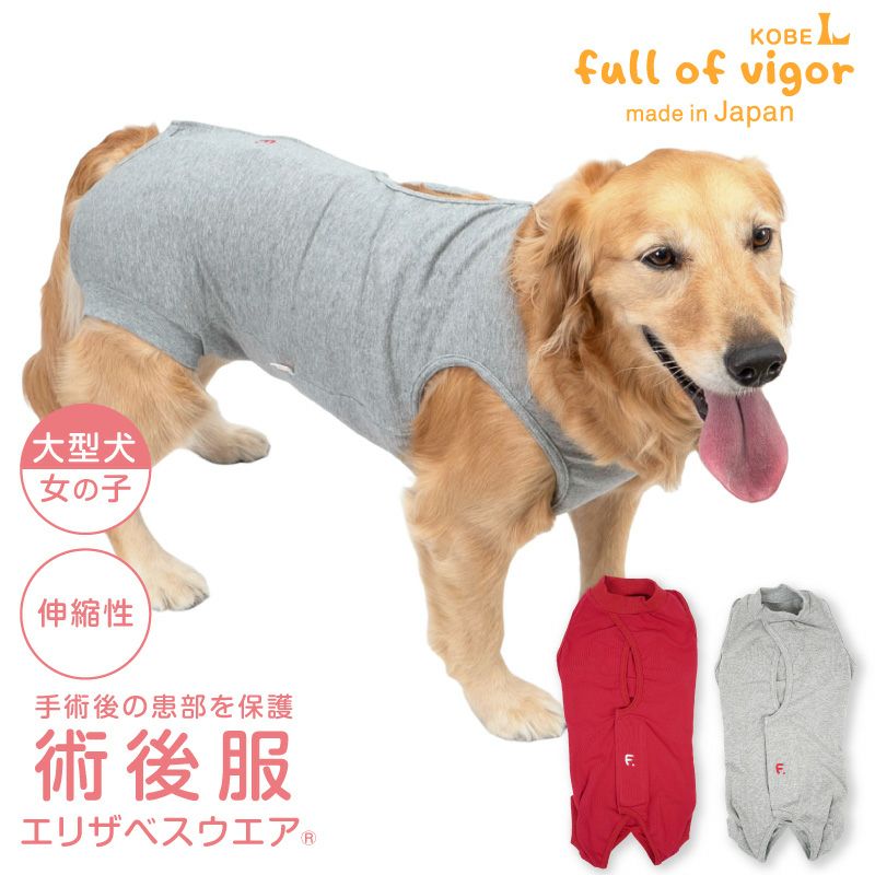 F.ベア天竺術後服エリザベスウエア(R)(女の子/大型犬用/伸縮性素材)