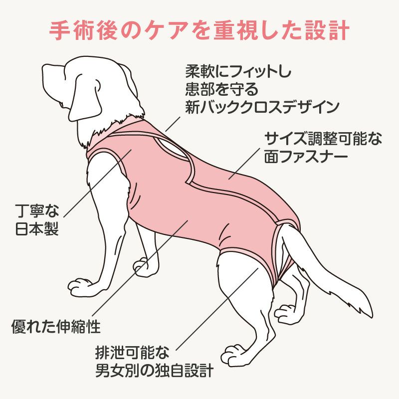 F.ベア天竺術後服エリザベスウエア(R)(女の子/大型犬用/伸縮性素材)