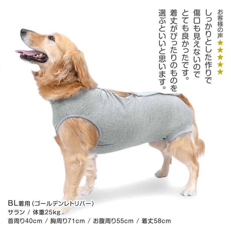 F.ベア天竺術後服エリザベスウエア(R)(女の子/大型犬用/伸縮性素材)