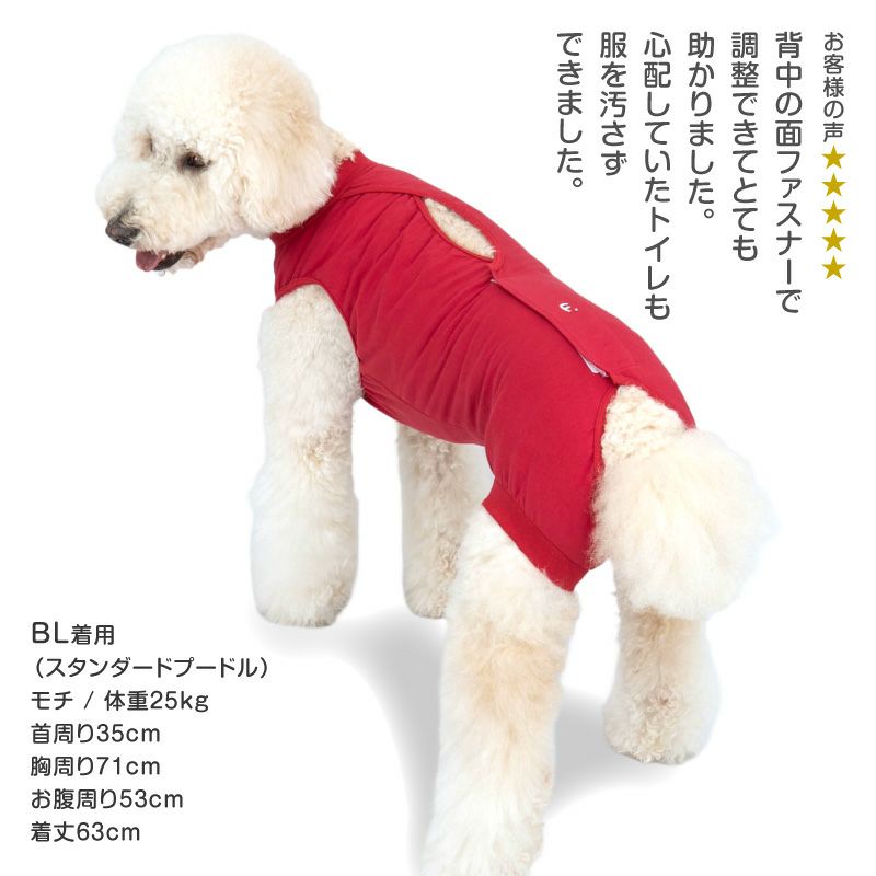 F.ベア天竺術後服エリザベスウエア(R)(女の子/大型犬用/伸縮性素材)