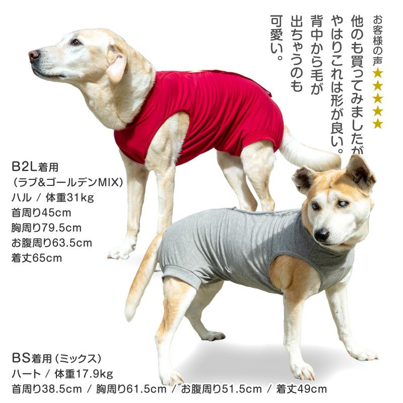 F.ベア天竺術後服エリザベスウエア(R)(女の子/大型犬用/伸縮性素材)