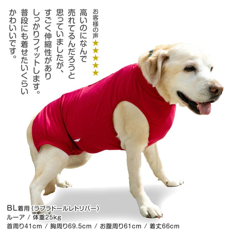 F.ベア天竺術後服エリザベスウエア(R)(女の子/大型犬用/伸縮性素材)