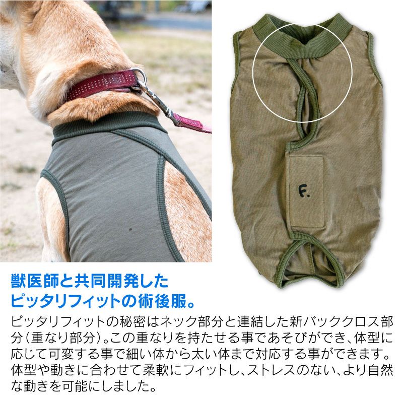 F.ベア天竺術後服エリザベスウエア(R)(男の子/フレブル用/伸縮性素材)