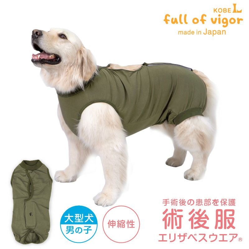 F.ベア天竺術後服エリザベスウエア(R)(男の子/大型犬用/伸縮性素材)