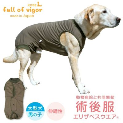 F.ベア天竺術後服エリザベスウエア(R)(男の子/大型犬用/伸縮性素材)