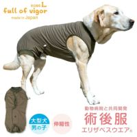 F.ベア天竺術後服エリザベスウエア(R)(男の子/大型犬用/伸縮性素材)
