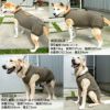 F.ベア天竺術後服エリザベスウエア(R)(男の子/大型犬用/伸縮性素材)