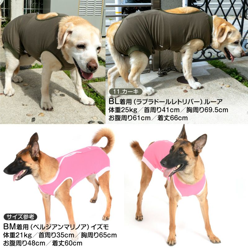 F.ベア天竺術後服エリザベスウエア(R)(男の子/大型犬用/伸縮性素材)