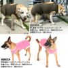F.ベア天竺術後服エリザベスウエア(R)(男の子/大型犬用/伸縮性素材)