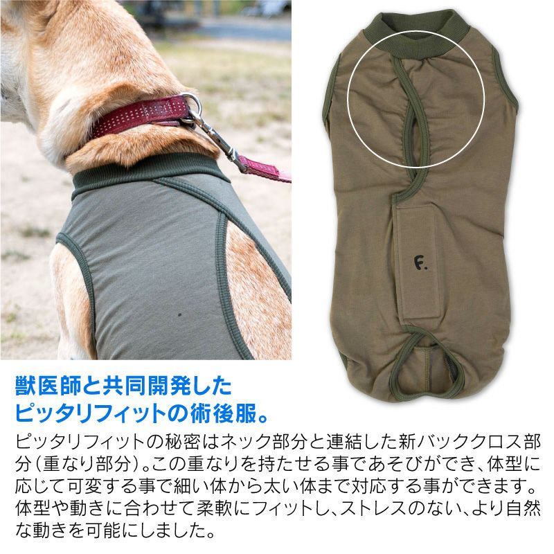 F.ベア天竺術後服エリザベスウエア(R)(男の子/大型犬用/伸縮性素材)