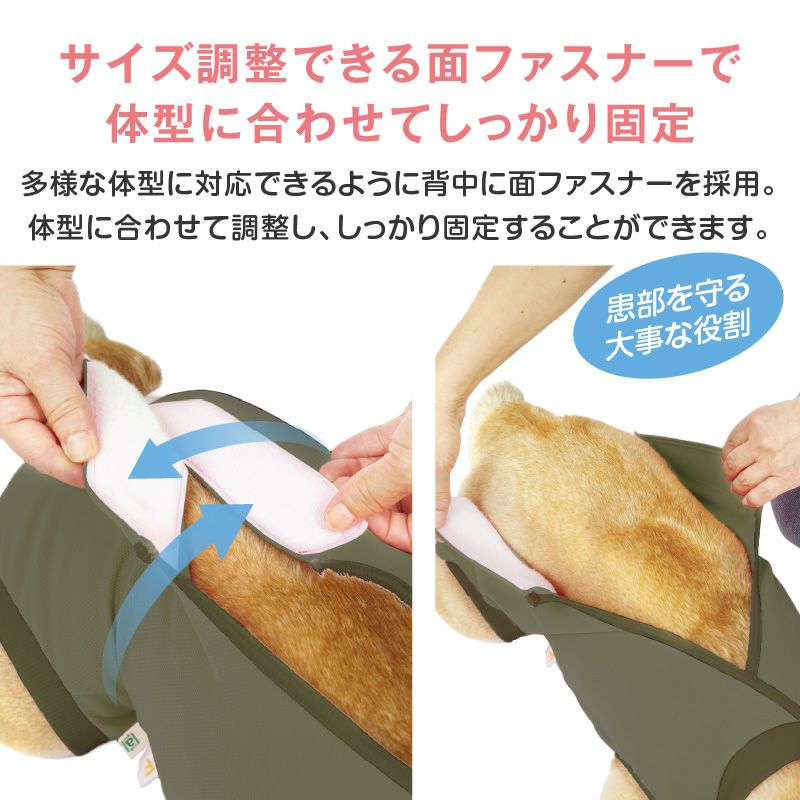 F.ベア天竺術後服エリザベスウエア(R)(男の子/大型犬用/伸縮性素材)