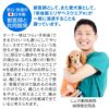 F.ベア天竺術後服エリザベスウエア(R)(男の子/大型犬用/伸縮性素材)