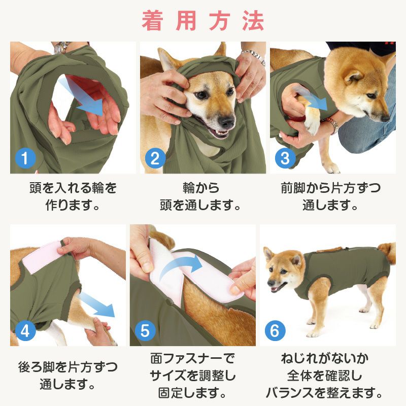 F.ベア天竺術後服エリザベスウエア(R)(男の子/大型犬用/伸縮性素材)