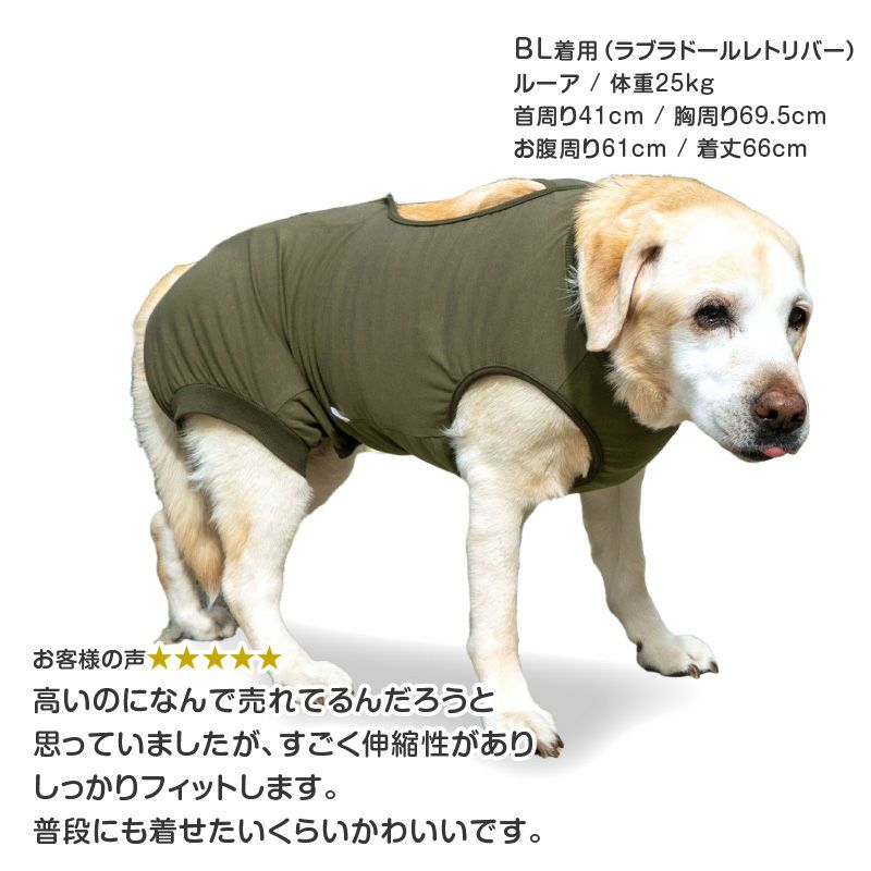 F.ベア天竺術後服エリザベスウエア(R)(男の子/大型犬用/伸縮性素材)
