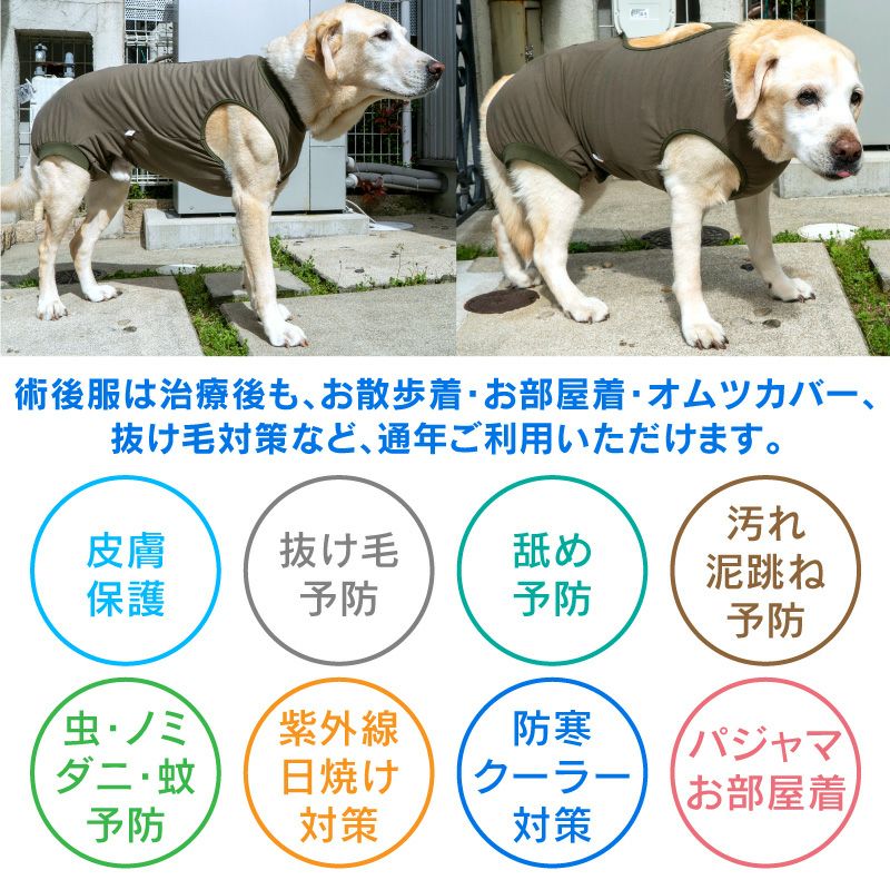 F.ベア天竺術後服エリザベスウエア(R)(男の子/大型犬用/伸縮性素材)