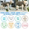 F.ベア天竺術後服エリザベスウエア(R)(男の子/大型犬用/伸縮性素材)