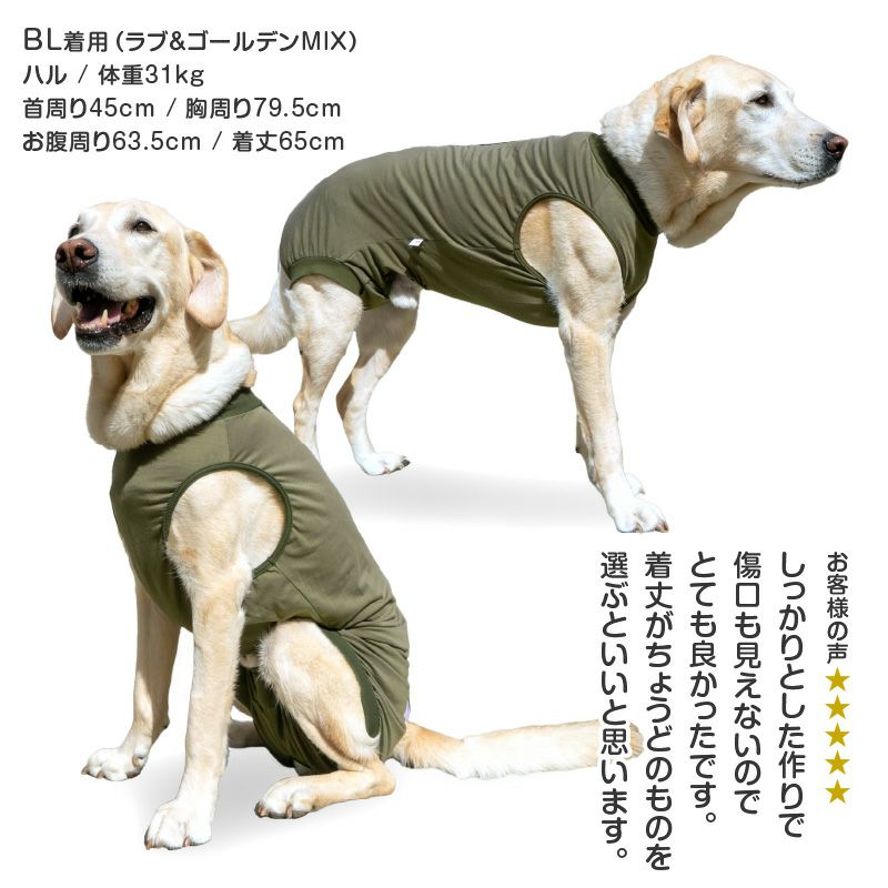 F.ベア天竺術後服エリザベスウエア(R)(男の子/大型犬用/伸縮性素材)