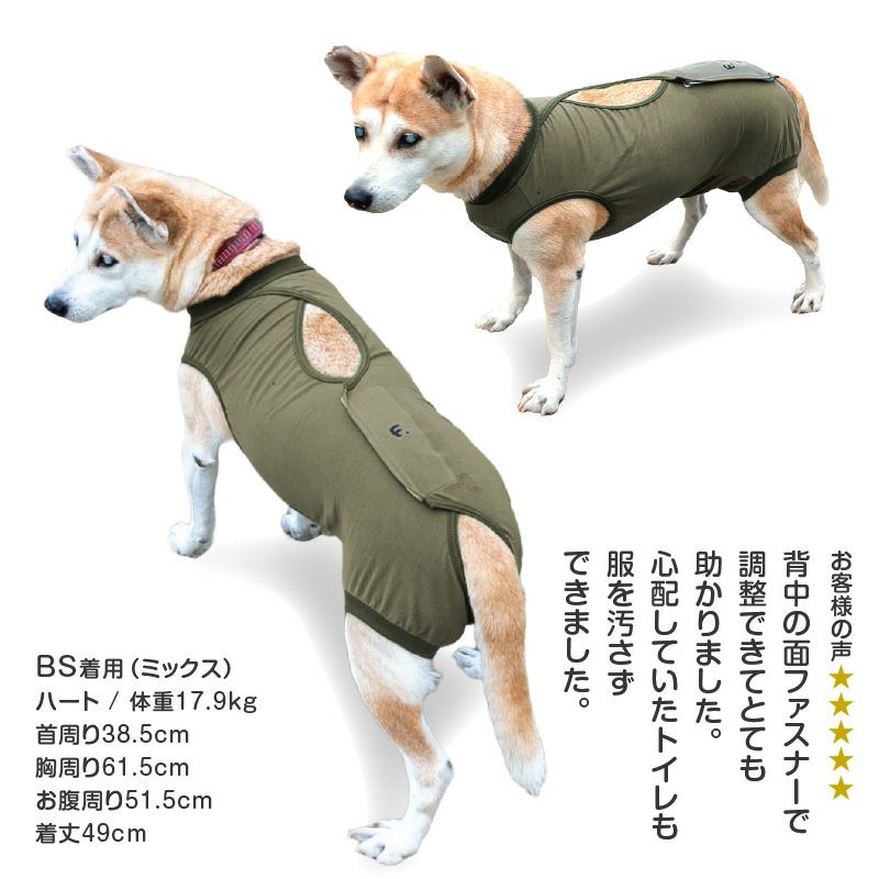 F.ベア天竺術後服エリザベスウエア(R)(男の子/大型犬用/伸縮性素材)