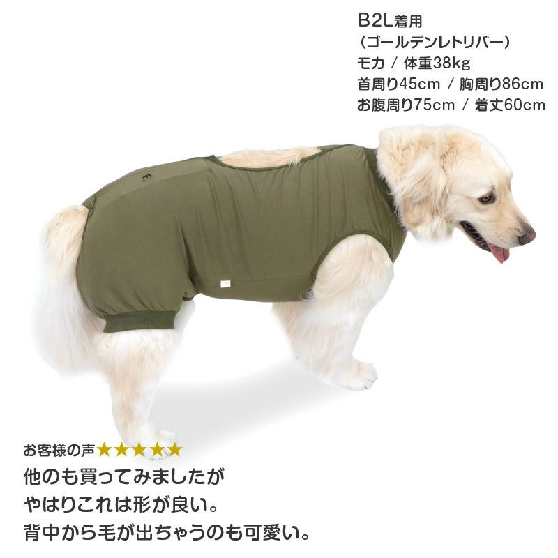 F.ベア天竺術後服エリザベスウエア(R)(男の子/大型犬用/伸縮性素材)