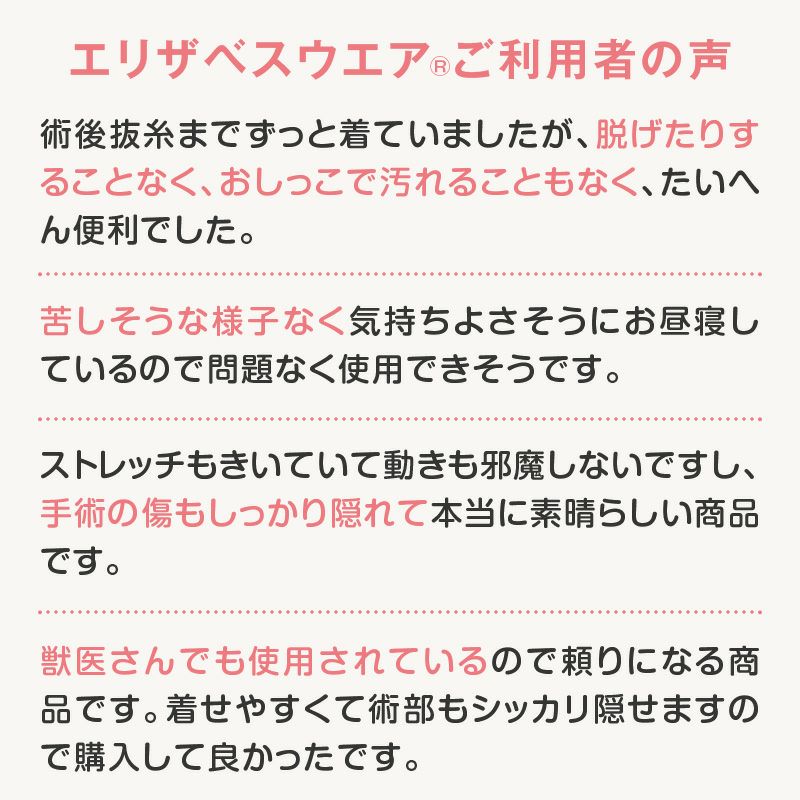 F.ベア天竺術後服エリザベスウエア(R)(男の子/大型犬用/伸縮性素材)