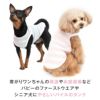 パイルボーダーお部屋着タンク(ダックス・小型犬用)